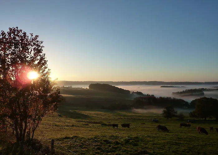 Apartament Speedys Gaestehaus Baar (Rhineland-Palatinate)