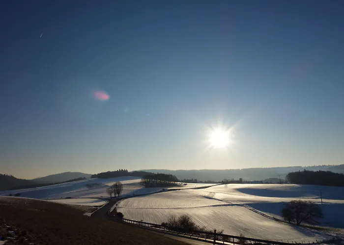 Apartment Speedys Gaestehaus