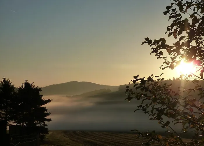 Apartment Speedys Gaestehaus