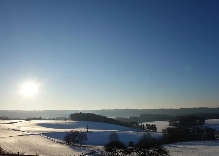 Apartament Speedys Gaestehaus *